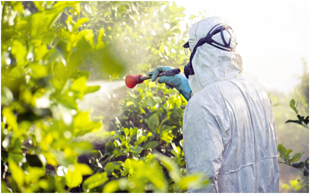 How to Effectively Eliminate Pests with Fumigation